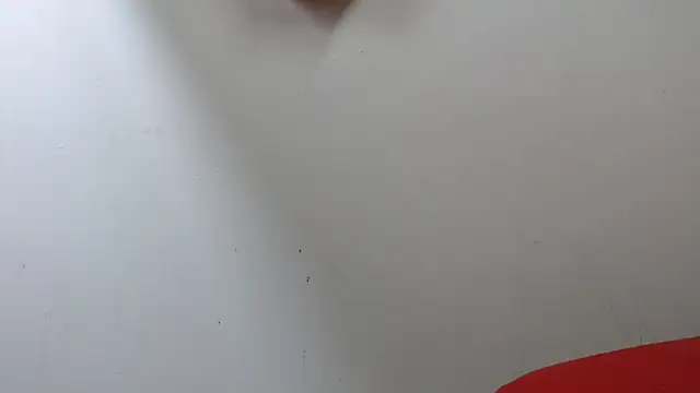 lola warner online show from October 16, 3:40 am