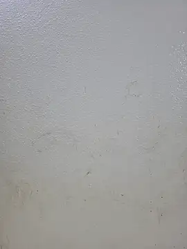 titooritax online show from October 16, 9:49 pm