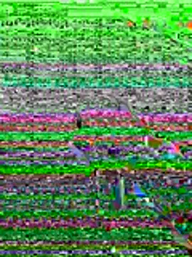 kamo012000 online show from June 19, 10:08 am