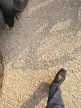 mysticeyes backup online show from November 15, 3:37 am