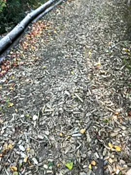 Mlkrrp online show from October 10, 4:28 pm