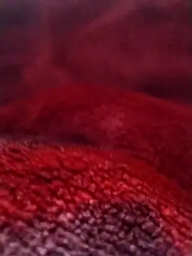 saneer69tew online show from February 26, 6:12 am