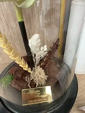 Mrdim26 online show from October 11, 12:58 pm