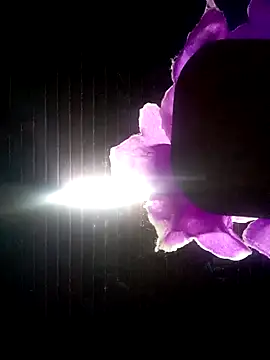 Ridick2025 online show from October 8, 11:13 pm