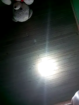 Ridick2025 online show from April 26, 12:52 am