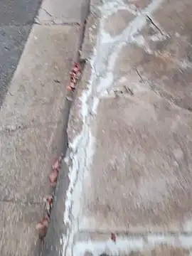 Snapshot of dickcurved38 chatting on February 20, 4:53 am dickcurved38 online show from February 20, 4:53 am