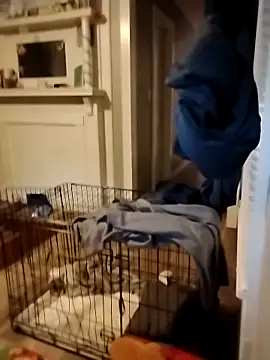 Snapshot of hugenicecock7979 chatting on October 2, 11:34 pm hugenicecock7979 online show from October 2, 11:34 pm