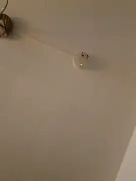 LightskinBumpa online show from November 15, 2:09 am