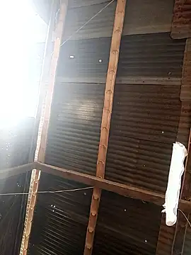 Snapshot of Davir2001 chatting on February 27, 1:44 pm Davir2001 online show from February 27, 1:44 pm