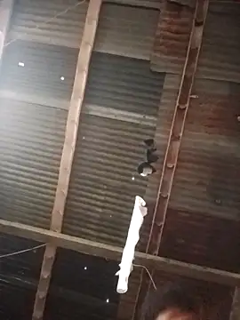 Snapshot of Davir2001 chatting on March 1, 11:56 am Davir2001 online show from March 1, 11:56 am