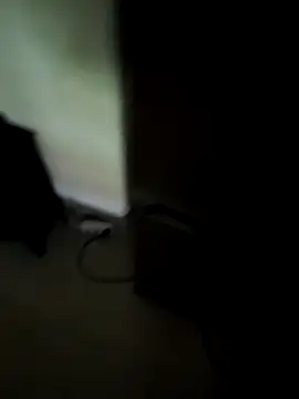 Snapshot of ARTANIS20 chatting on October 18, 10:49 am ARTANIS20 online show from October 18, 10:49 am