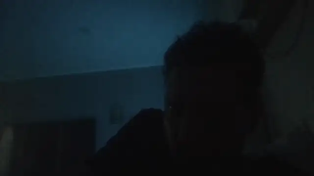 Snapshot of ARTANIS20 chatting on November 6, 6:36 am ARTANIS20 online show from November 6, 6:36 am