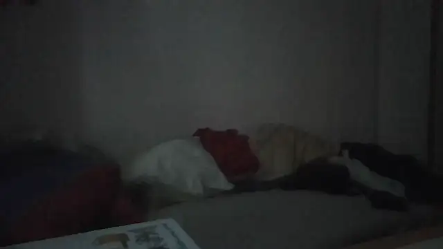 Snapshot of ARTANIS20 chatting on January 11, 7:35 am ARTANIS20 online show from January 11, 7:35 am