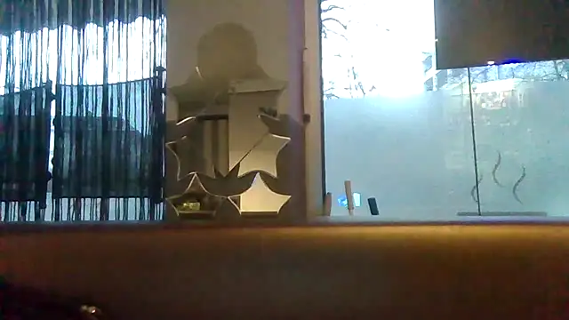 Snapshot of ARTANIS20 chatting on February 1, 6:56 am ARTANIS20 online show from February 1, 6:56 am