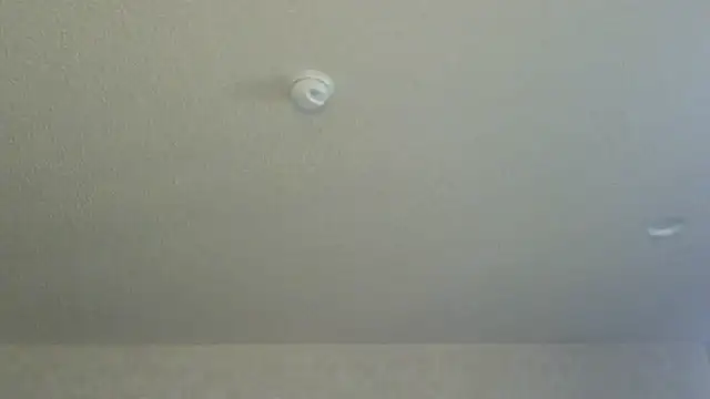 Flossee online show from April 11, 12:15 am