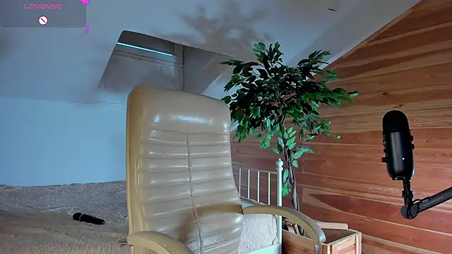 AuroraShoww online show from November 20, 12:49 pm