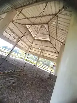 Desi Horny Boys online show from October 21, 8:26 am