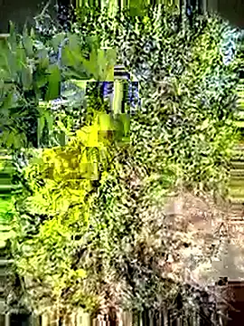 Desi Horny Boys online show from May 3, 3:12 am