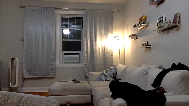 robin bones online show from November 15, 11:54 pm