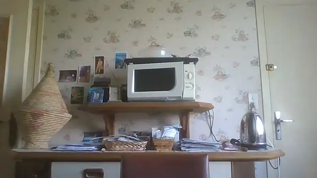 gegevincent online show from April 15, 11:28 am