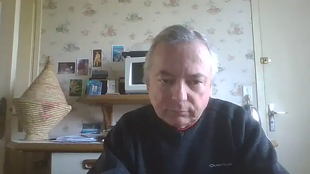 gegevincent online show from April 18, 11:14 am