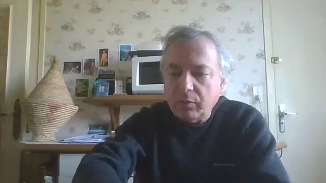 gegevincent online show from April 27, 10:46 am