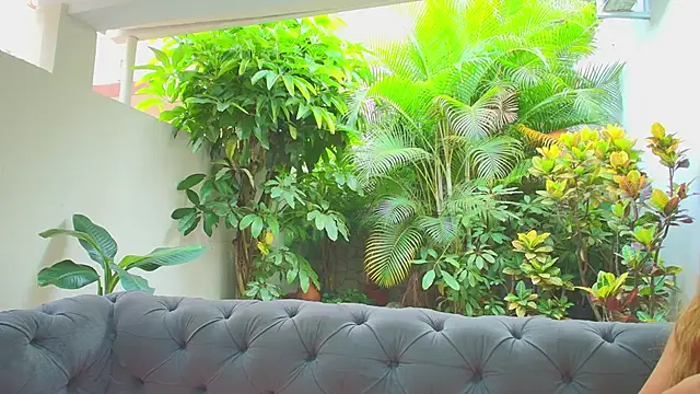 sharon greey online show from November 21, 12:48 pm