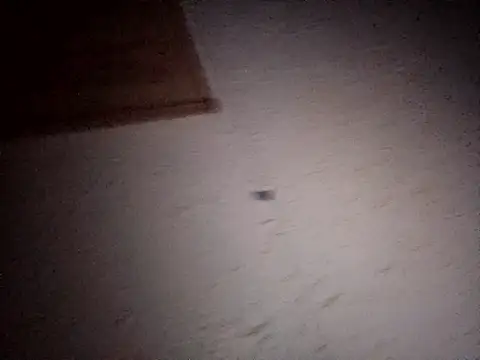 Hottiesophie online show from April 11, 8:02 pm