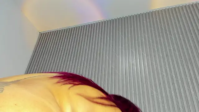 DAFNECOX online show from October 11, 3:10 pm