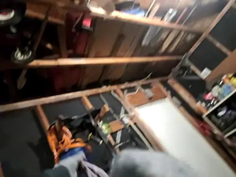 thejuicybacon online show from January 17, 1:16 pm