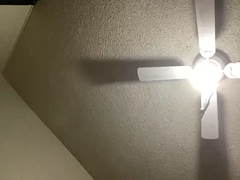 Snapshot of NiftyCaptain3 chatting on March 31, 3:45 pm NiftyCaptain3 online show from March 31, 3:45 pm