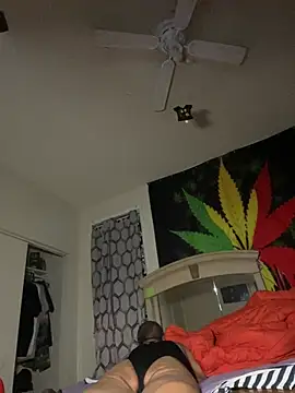 Snapshot of NiftyCaptain3 chatting on April 3, 7:06 am NiftyCaptain3 online show from April 3, 7:06 am