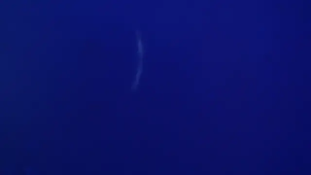 The1BBC online show from February 12, 4:13 pm