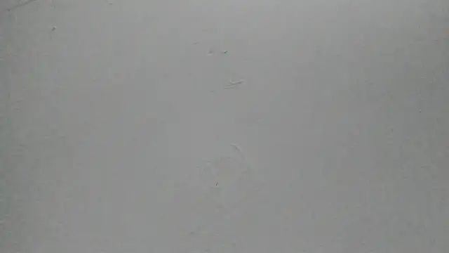 Snapshot of Sophia_Ebony chatting on February 25, 12:04 pm Sophia Ebony online show from February 25, 12:04 pm