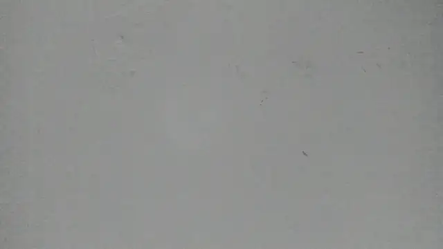 Snapshot of Sophia_Ebony chatting on March 13, 12:01 pm Sophia Ebony online show from March 13, 12:01 pm