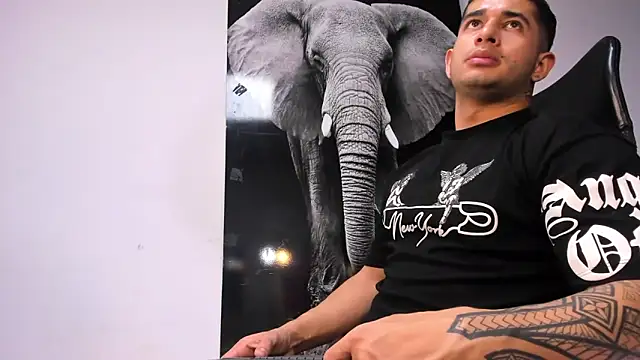 king falconer online show from October 19, 11:49 pm