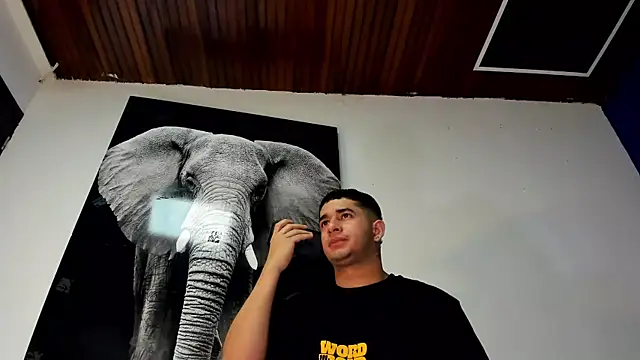 king falconer online show from November 2, 12:35 am