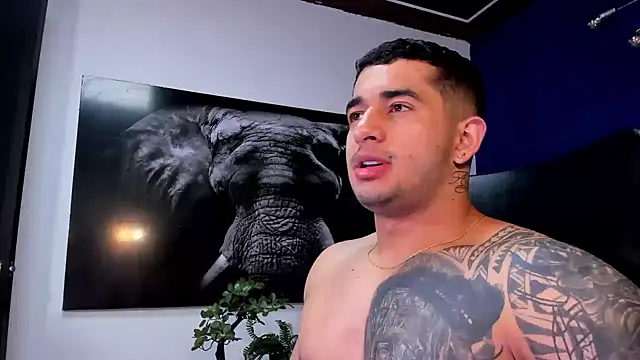 king falconer online show from January 11, 3:44 am