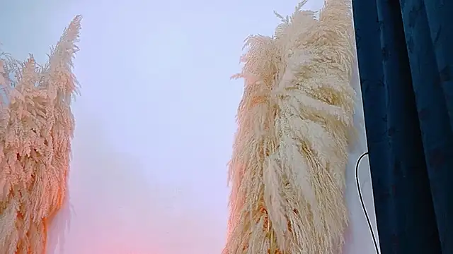 JulietaDavis online show from February 20, 9:32 am