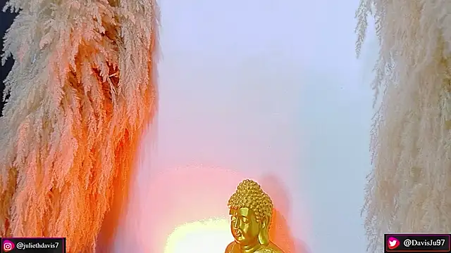 JulietaDavis online show from April 15, 9:38 am