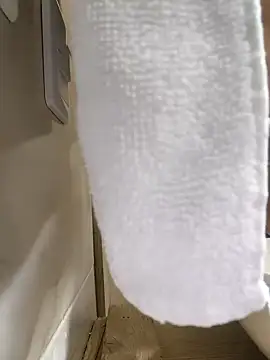 Hiroshi Shen online show from November 27, 11:23 am