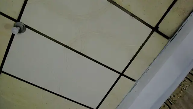 AlaskaFlowers  online show from September 12, 5:51 am