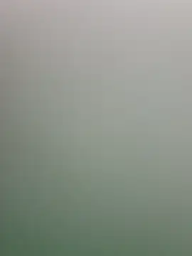 guridosul051 online show from April 13, 11:48 am