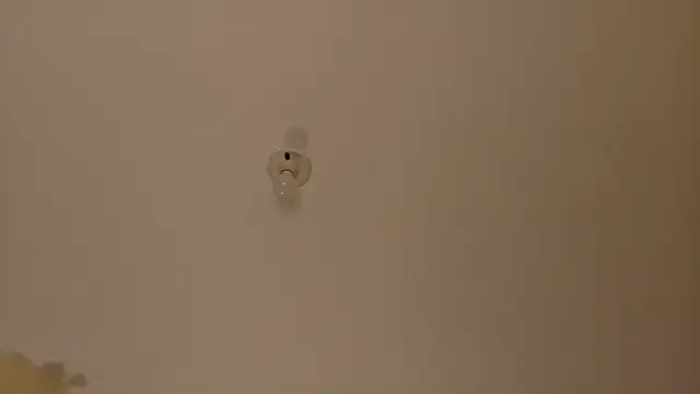 Amanda sweet online show from October 17, 1:03 pm