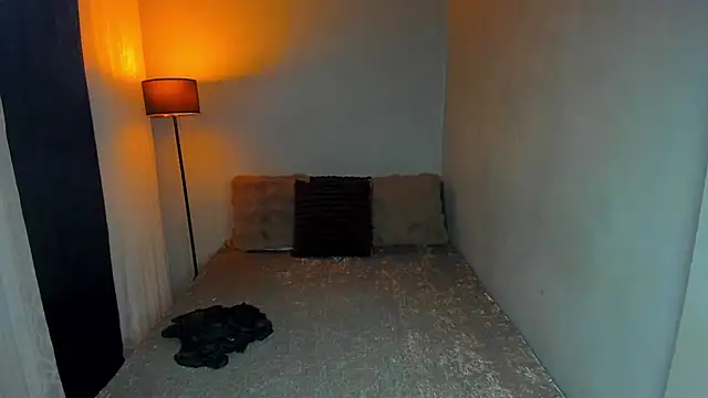 anitacruise online show from November 16, 9:20 pm