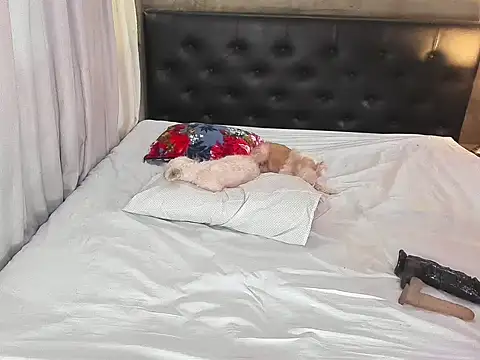 hotbabymaria online show from November 14, 1:26 am