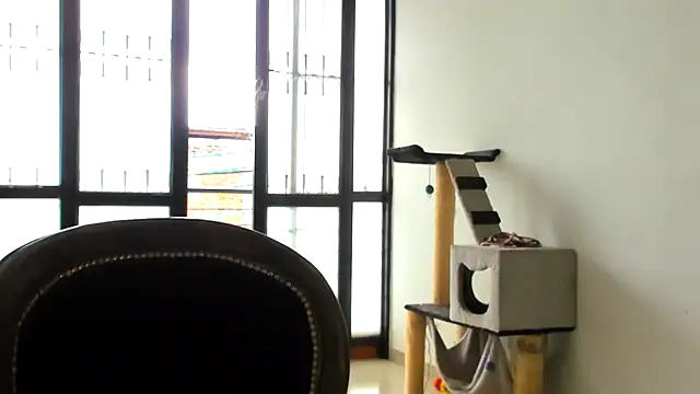 Snapshot of ADHARAMILLER__1111 chatting on November 23, 2:28 pm ADHARAMILLER 1111 online show from November 23, 2:28 pm