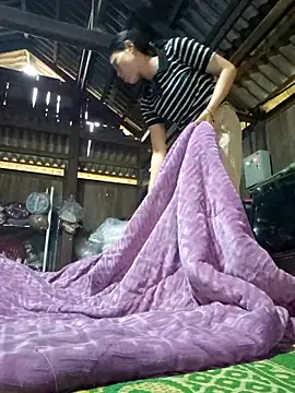 cincin 677 online show from November 10, 12:09 am