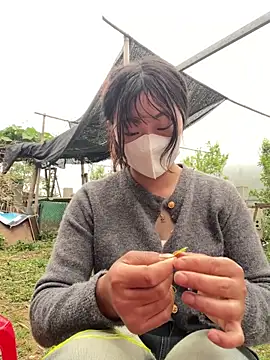 isaaa5 online show from April 17, 10:18 am