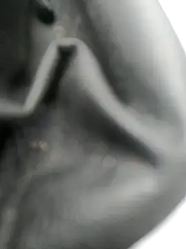 legaros online show from October 20, 3:12 pm